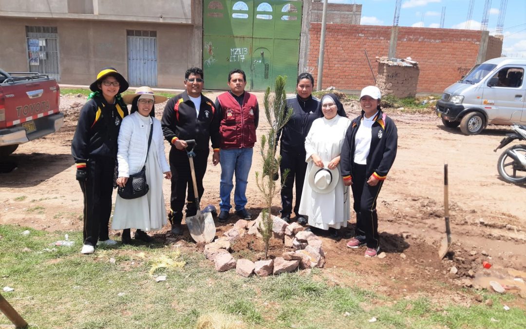 Siembra un árbol – Siembra vida